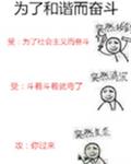 为了和谐而奋斗章节列表