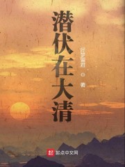 潜伏在大清章节列表