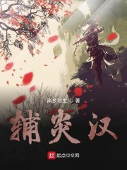 辅炎汉章节列表
