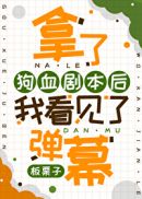 拿了狗血剧本后我看见了弹幕章节列表