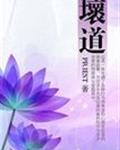 坏道章节列表