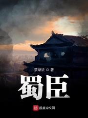 蜀臣章节列表