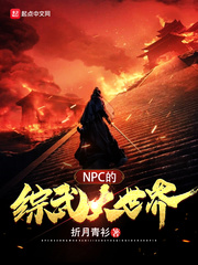 NPC的综武大世界章节列表