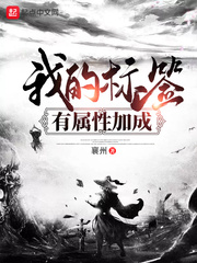 我的标签有属性加成章节列表