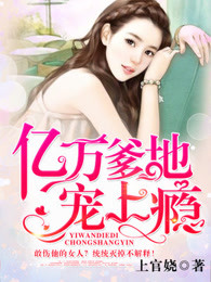 亿万爹地宠上瘾章节列表