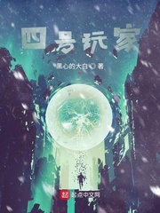 四号玩家章节列表