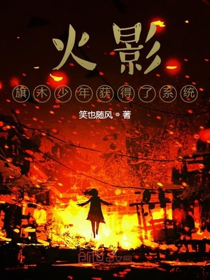 火影旗木少年获得了系统章节列表