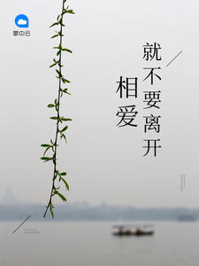 相爱就不要离开简芷颜沈慎之章节列表