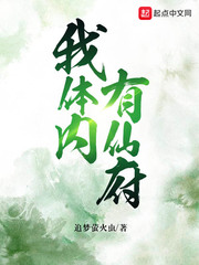 我体内有仙府章节列表