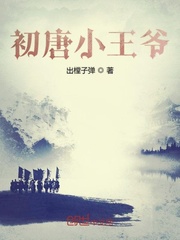 初唐小王爷章节列表