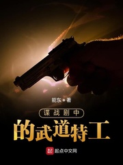 谍战剧中的武道特工章节列表