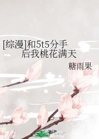 和5t5分手后我桃花满天章节列表