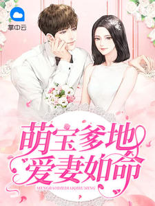 萌宝爹地爱妻如命章节列表