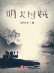 明末国贼章节列表