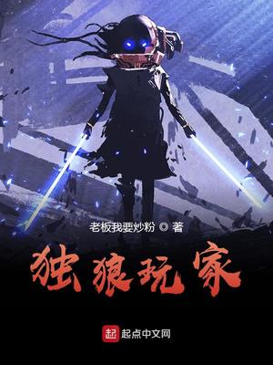 独狼玩家章节列表