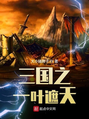 三国之一叶遮天章节列表