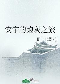 安宁的炮灰之旅章节列表