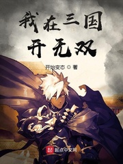 我在三国开无双章节列表