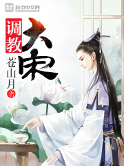 调教大宋章节列表