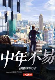 中年不易章节列表