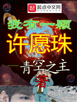 我有一颗许愿珠章节列表