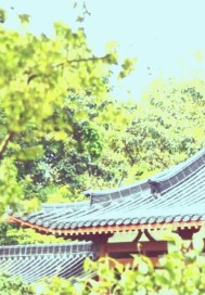 一代倾城挽山河章节列表
