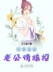 终究嫁给了爱情章节列表