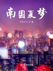 南国夏梦章节列表
