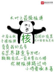 木叶之最强核遁章节列表