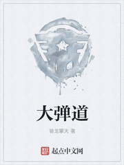 大弹道章节列表