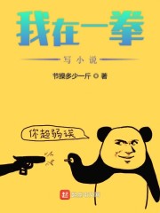 我在一拳写小说章节列表
