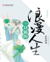 一只猫的浪漫人生章节列表