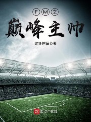 FM之巅峰主帅章节列表