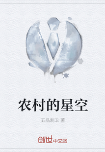 农村的星空章节列表