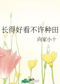 长得好看不许种田章节列表