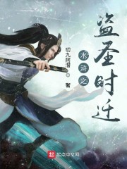 水浒之盗圣时迁章节列表