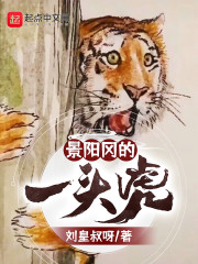 景阳冈的一头虎章节列表