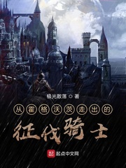 从霍格沃茨走出的征伐骑士章节列表