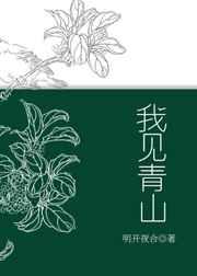 我见青山章节列表