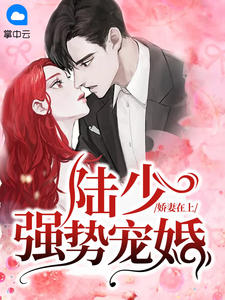 娇妻在上：陆少强势宠婚章节列表