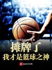 摊牌了我才是篮球之神章节列表
