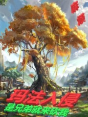 玛法入侵：是兄弟就来砍我章节列表