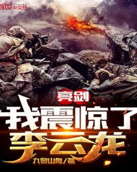 亮剑：我震惊了李云龙章节列表