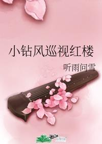 小钻风巡视红楼章节列表