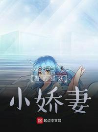 吾的狐妖小娇妻章节列表