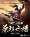 三国之从拯救蔡琰开始章节列表