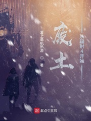 废土从辐射4开始章节列表