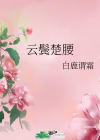 云鬓楚腰章节列表