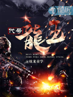 代号龙王章节列表