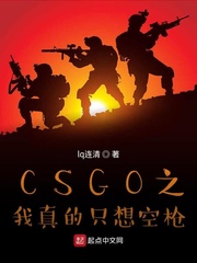 CSGO之我真的只想空枪章节列表